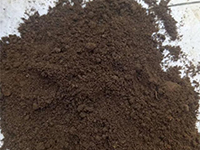 Earthworm Manure Organic Fertilizer